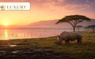 Luxury lodge or tented camp near Nairobi