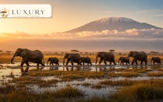 Luxury lodge or tented camp near Nairobi