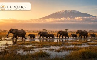 Luxury lodge or tented camp near Nairobi