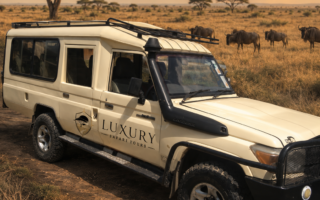4×4 Toyota Prado Rental