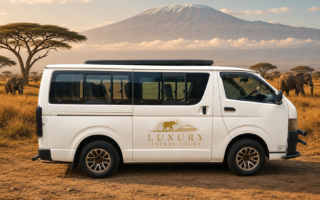 Tour Custom Made Van